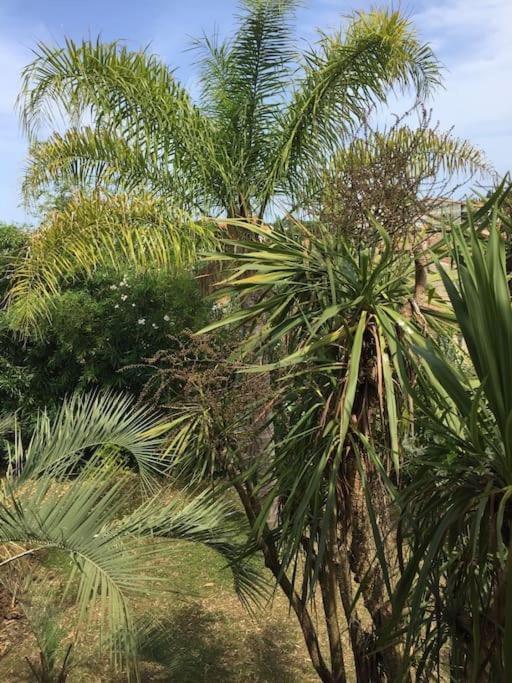 Mare E Monte , Jardin Mediterraneen Et Exotique. Ghisonaccia Exterior foto